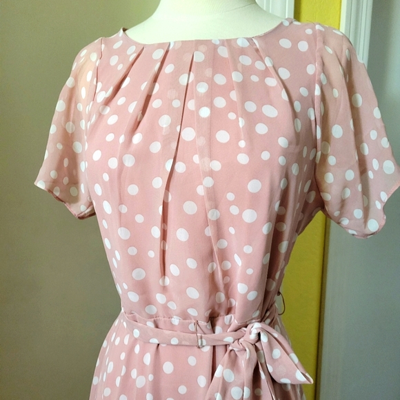 New Beautiful R & K Blush Polka-dot A line Dress size 8 - Picture 7 of 14